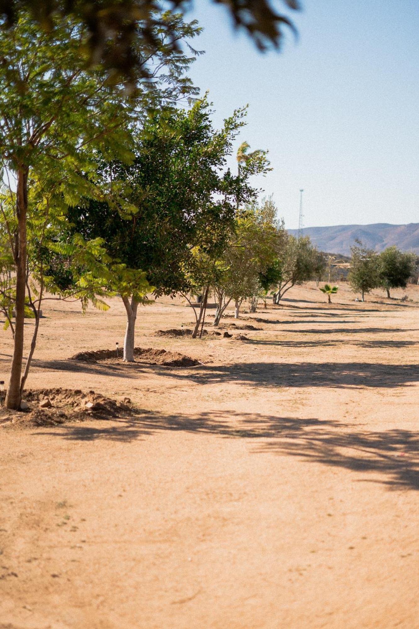 Villa Victoria, Valle De Guadalupe Εξωτερικό φωτογραφία