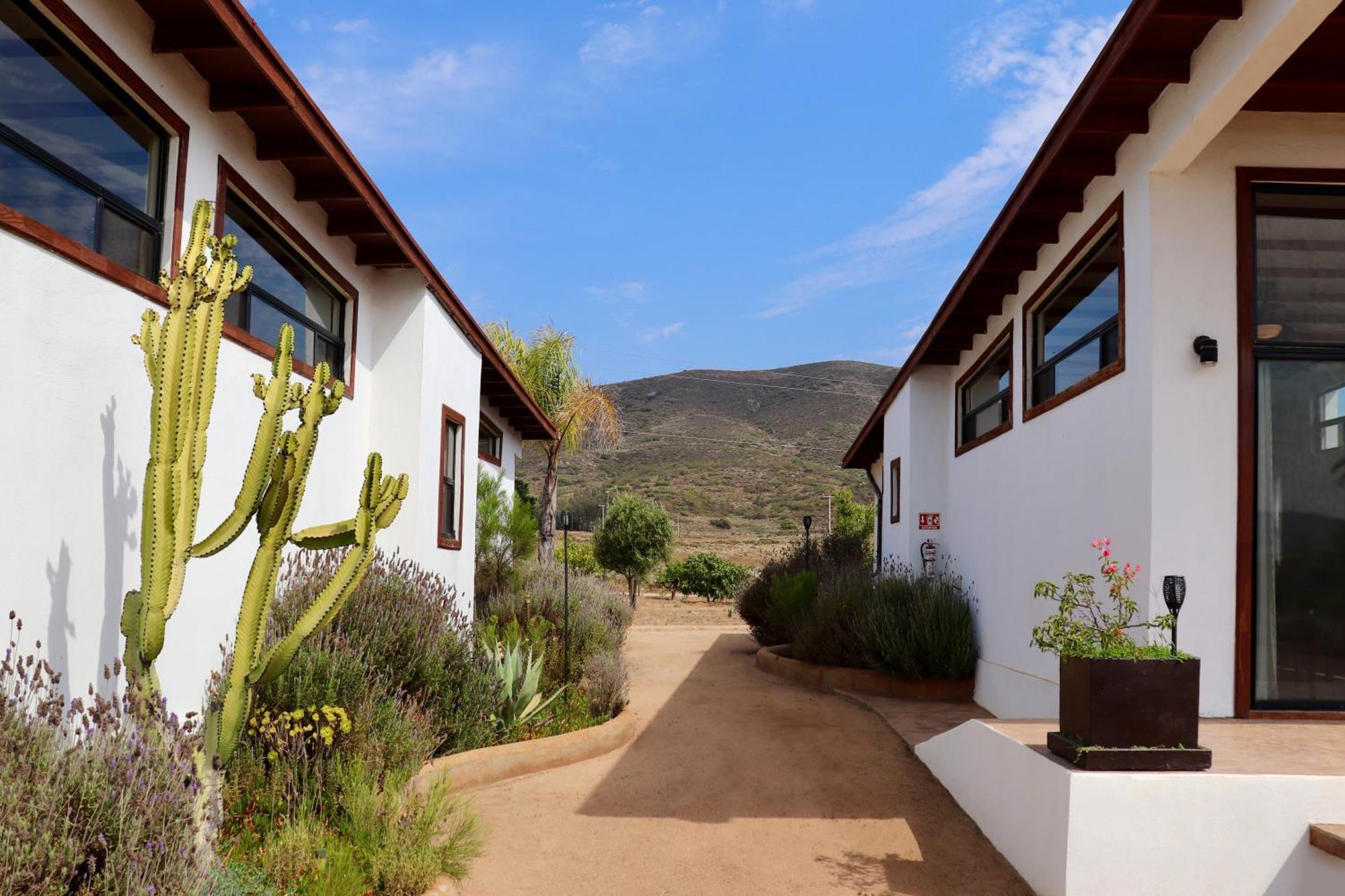 Villa Victoria, Valle De Guadalupe Εξωτερικό φωτογραφία