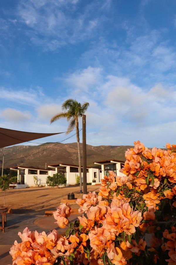 Villa Victoria, Valle De Guadalupe Εξωτερικό φωτογραφία